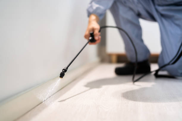 Licensed Pest Control service in Freer, TX - Show Me Pest Control